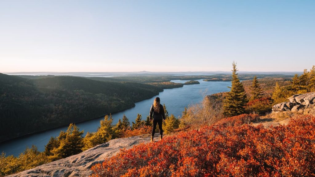is acadia national park dog friendly